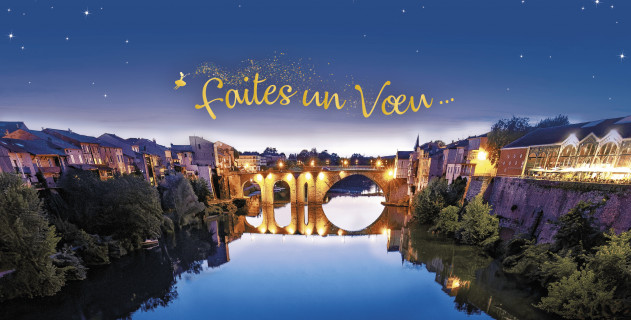 Les v&oelig;ux du maire